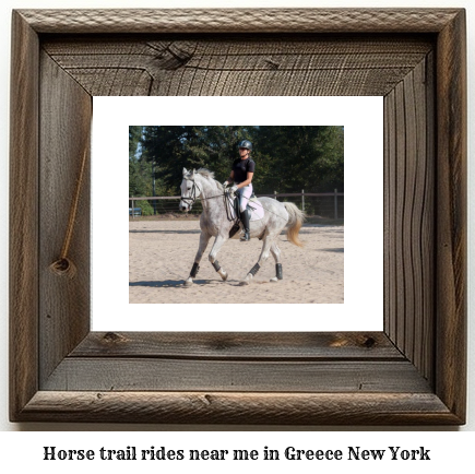 horse trail rides near me in Greece, New York